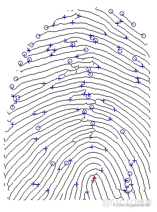 【指纹识别】基于MATLAB/FPGA的指纹识别算法仿真实现_特征点_08